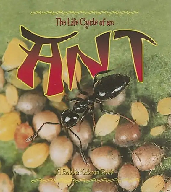 The Life Cycle of an Ant by Hadley Dyer