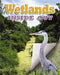 Wetlands Inside Out by James Bow