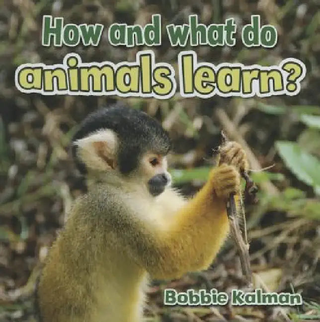 How and What Do Animals Learn? by Bobbie Kalman