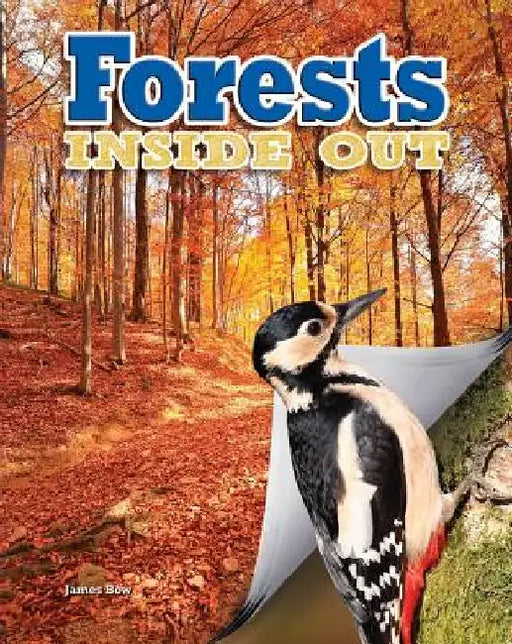 Forests by James Bow