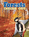 Forests by James Bow