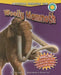 Woolly Mammoth by Bailey, Gerry