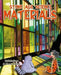 Stone Age Science: Materials by Felicia Law