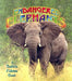 Endangered Elephants by Bobbie Kalman