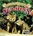 Changing Seasons by Bobbie Macaulay Kalman