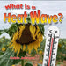 What Is a Heat Wave? by Robin Johnson