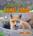 Rapping about Animal Homes by Bobbie Kalman