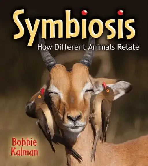 Symbiosis: How Different Animals Relate by Bobbie Kalman