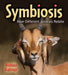 Symbiosis: How Different Animals Relate by Bobbie Kalman