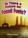 Is There a Future for Fossil Fuels? by Ellen Rodger