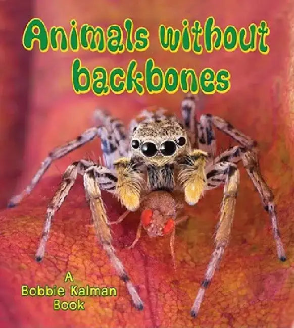Animals Without Backbones by Bobbie Kalman