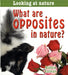 What Are Opposites in Nature? by Bobbie Kalman