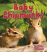 Baby Chipmunks by Bobbie Kalman