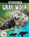 Bringing Back the Gray Wolf by Cynthia O'Brien