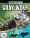 Bringing Back the Gray Wolf by Paula Smith