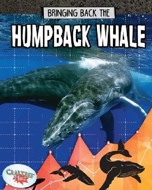 Bringing Back the Humpback Whale by Paula Smith