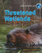 Threatened Wetlands by Catherine Chambers