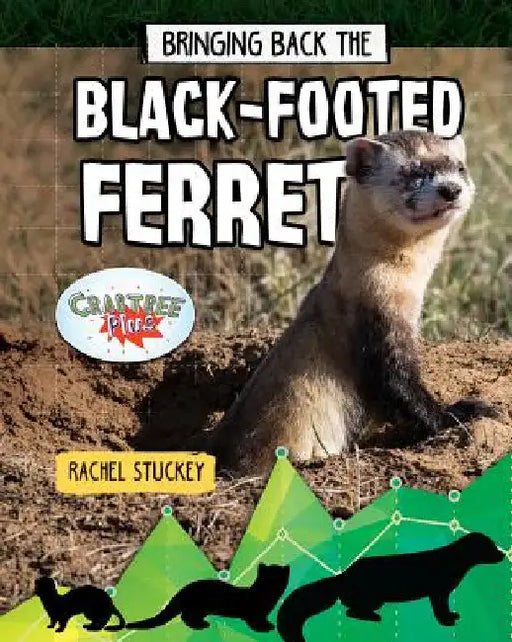 Bringing Back the Black-Footed Ferret by Stuckey, Rachel