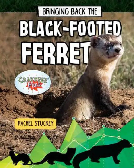Bringing Back the Black-Footed Ferret by Stuckey, Rachel