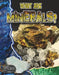 What Are Minerals? by Natalie Hyde
