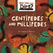 Centipedes and Millipedes by Williams, Susie