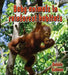 Baby Animals in Rainforest Habitats by Bobbie Kalman