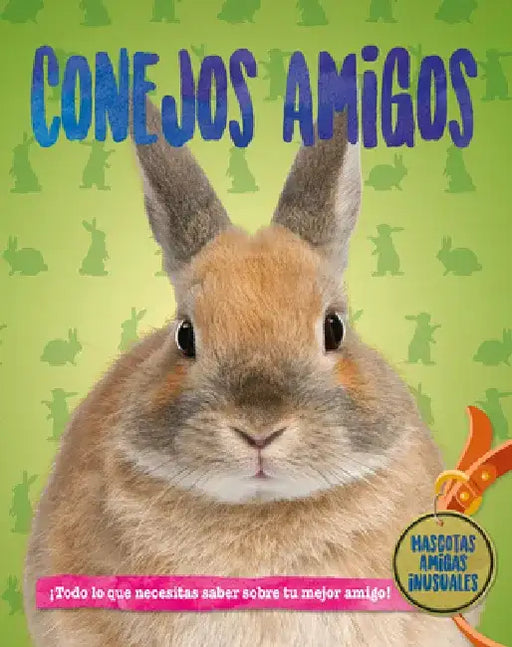 Conejos Amigos (Rabbit Pals) by Pat Jacobs