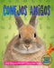 Conejos Amigos (Rabbit Pals) by Pat Jacobs