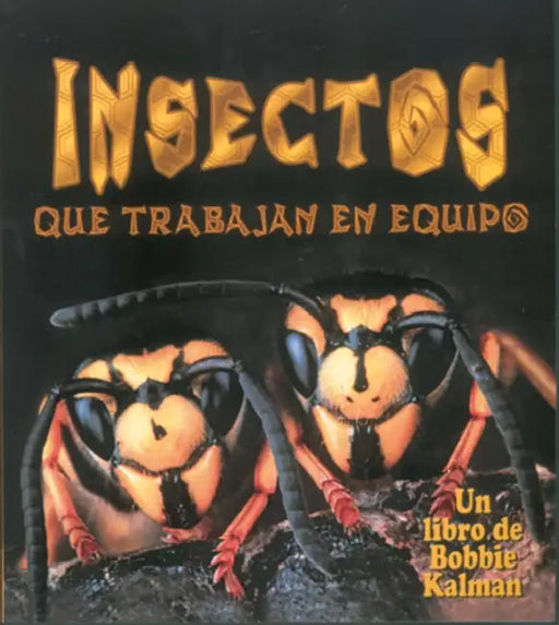 Insectos Que Trabajan En Equipo (Insects That Work Together) by Molly Aloian