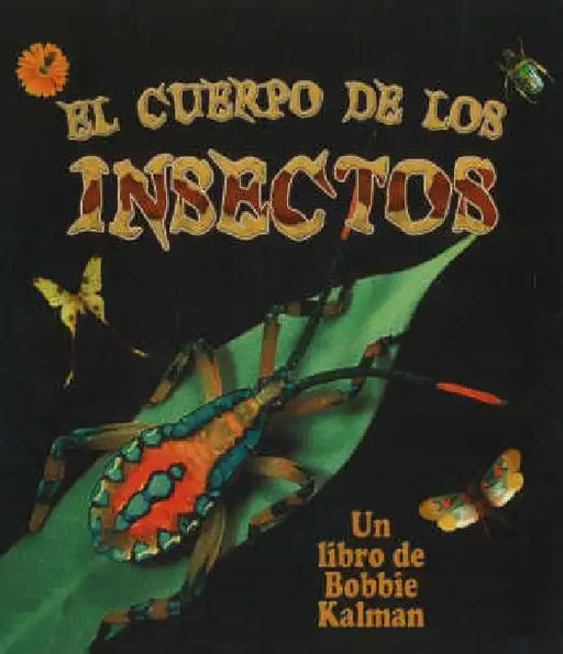 El Cuerpo de Los Insectos (Insect Bodies) by Molly Aloian