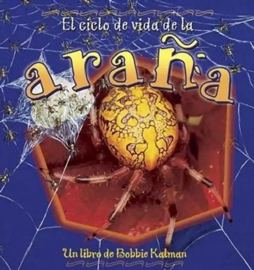 El Ciclo de Vida de la Araña (the Life Cycle of a Spider) by Bobbie Kalman
