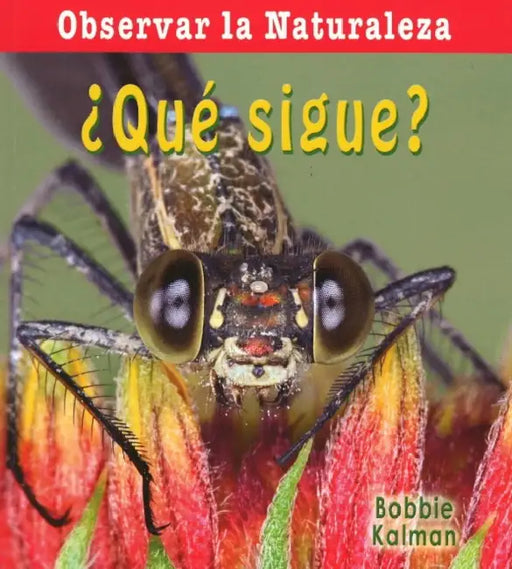 ¿Qué Sigue? (What Comes Next?) by Bobbie Kalman