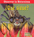 ¿Qué Sigue? (What Comes Next?) by Bobbie Kalman