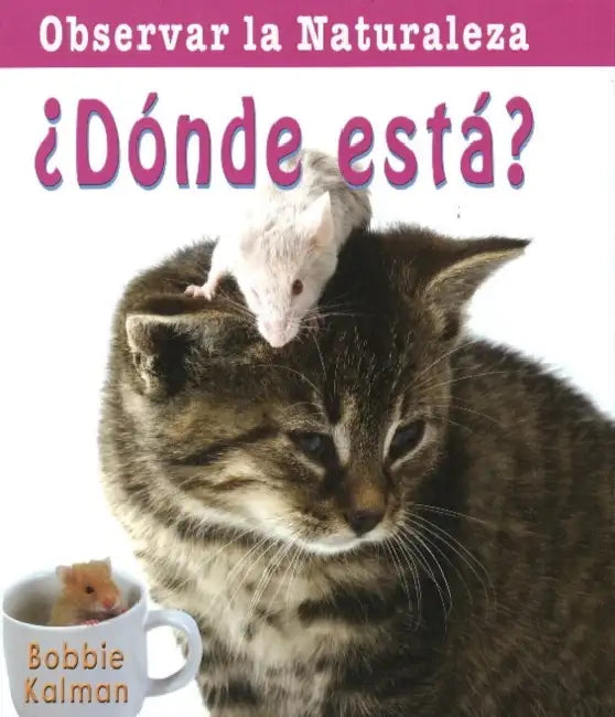¿Dónde Está? (Where Is It?) by Bobbie Kalman