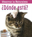 ¿Dónde Está? (Where Is It?) by Bobbie Kalman