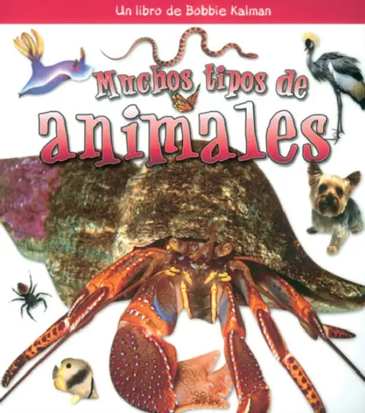 Muchos Tipos de Animales (Many Kinds of Animals) by Molly Aloian