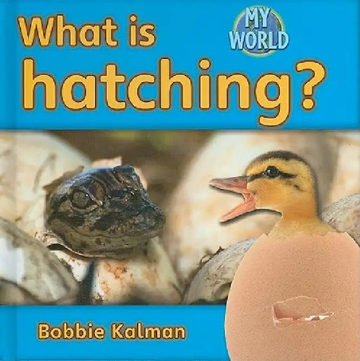 What Is Hatching? by Bobbie Kalman
