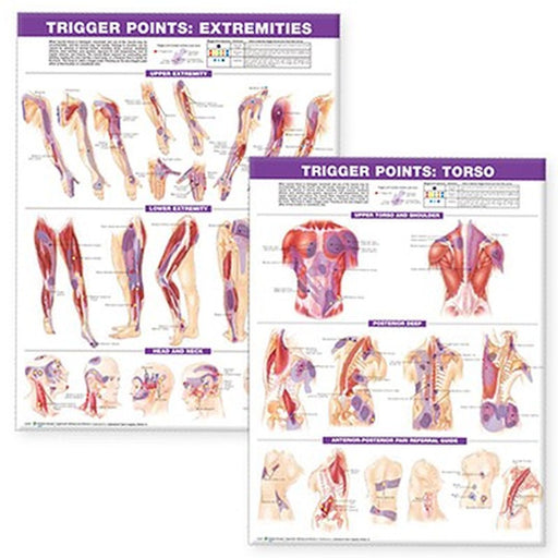 Trigger Point Chart Set: Torso & Extremities Paper by Anatomical Chart Company
