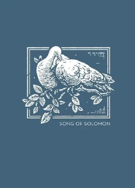 NET Abide Bible Journal - Song of Solomon, Paperback, Comfort Print Softcover by Thomas Nelson