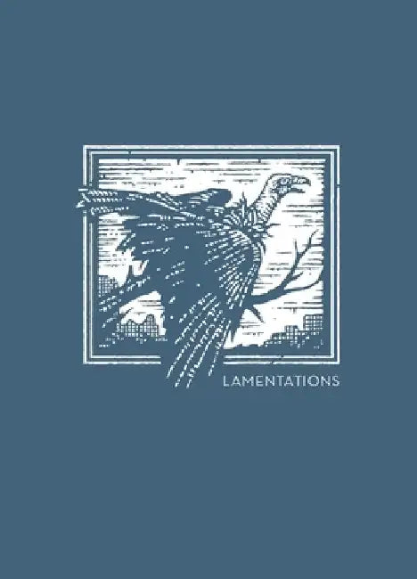NET Abide Bible Journal - Lamentations, Paperback, Comfort Print Softcover by Thomas Nelson