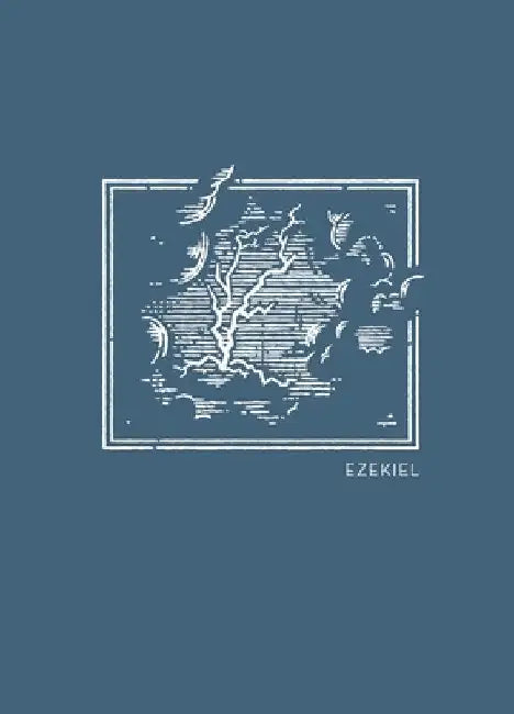 NET Abide Bible Journal - Ezekiel, Paperback, Comfort Print Softcover by Thomas Nelson