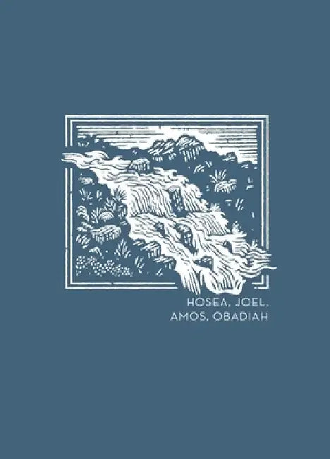 NET Abide Bible Journal - Hosea, Joel, Amos, Obadiah, Paperback, Comfort Print Softcover by Thomas Nelson