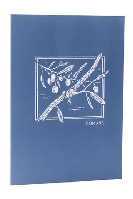 Net Abide Bible Journal - Romans, Paperback, Comfort Print: Holy Bible by Taylor University Center for Scripture E
