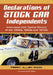 Declarations of Stock Car Independents: Interviews with Twelve Racers of the 1950s, 1960s and 1970s by Perry Allen Wood