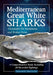 Mediterranean Great White Sharks: A Comprehensive Study Including All Recorded Sightings by Alessandro de Maddalena, Walter Heim