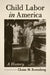 Child Labor in America: A History by Chaim M. Rosenberg