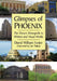 Glimpses of Phoenix: The Desert Metropolis in Written and Visual Media by David William Foster