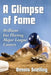 A Glimpse of Fame: Brilliant but Fleeting Major League Careers by Dennis Snelling
