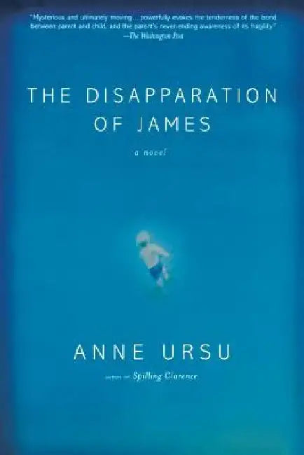 The Disapparation of James by Anne Ursu