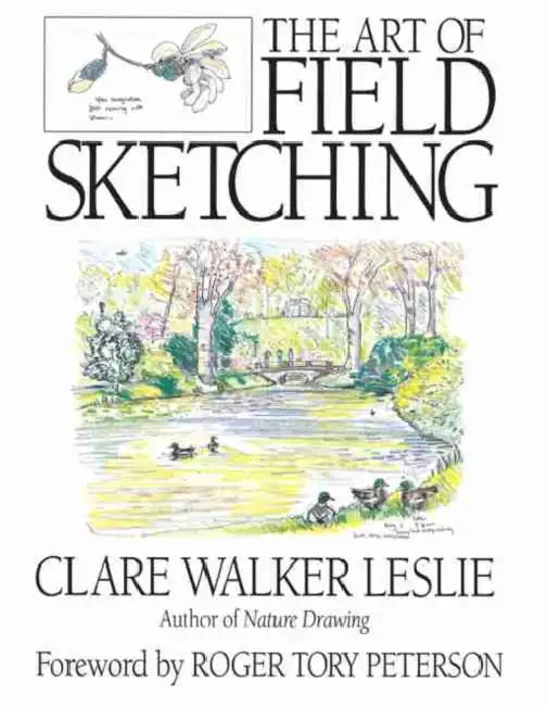 Field Sketching by Leslie Clare Walker